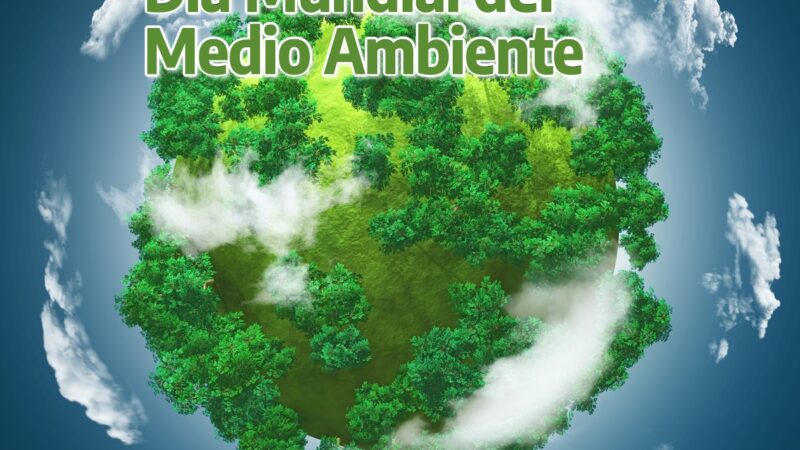 Romang| Campaña para cuidar el medio ambiente