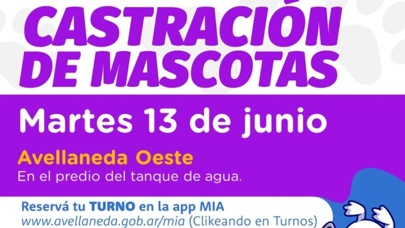 Castración de mascotas: Hoy, en Avellaneda Oeste