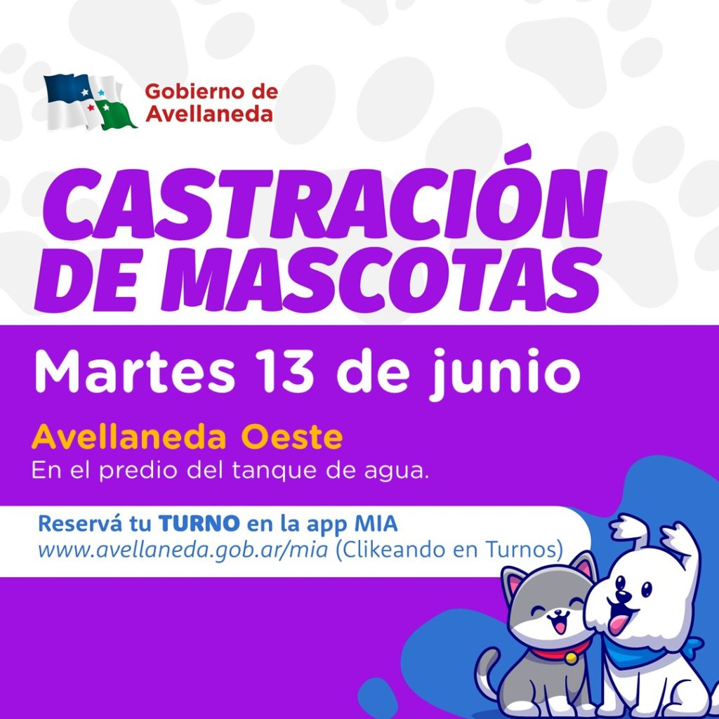 Castración de mascotas: Hoy, en Avellaneda Oeste