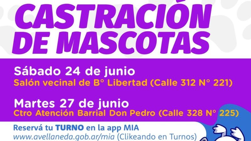 Habilitan turnos para castración de mascotas en Avellaneda