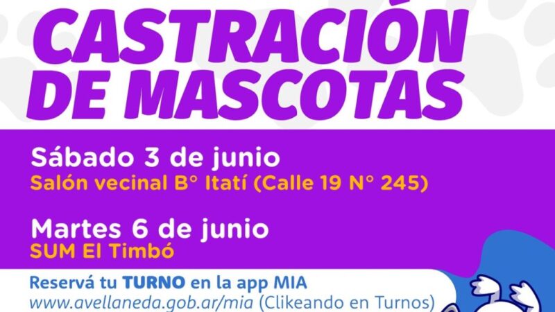 Avellaneda | Realizan castraciones de mascotas en Barrio Itatí
