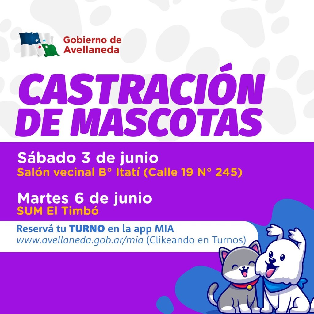 Avellaneda | Realizan castraciones de mascotas en Barrio Itatí