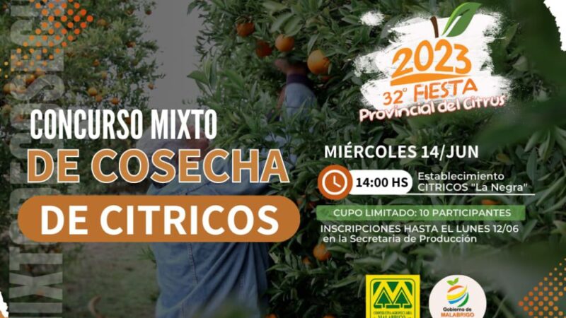 Se viene el Concurso mixto de cosecha de cítricos 2023