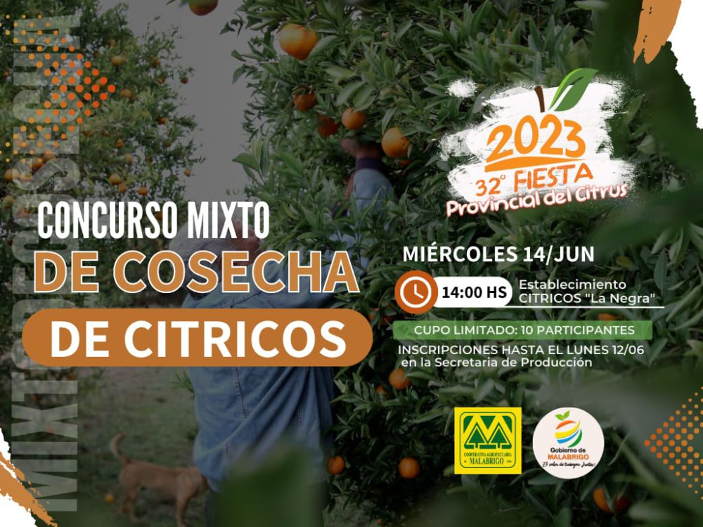 Se viene el Concurso mixto de cosecha de cítricos 2023