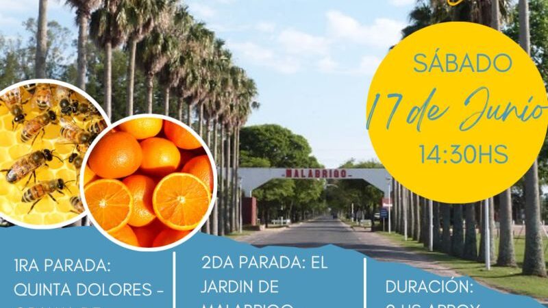 Recorrido con aroma a cítrico y miel por las calles de Malabrigo