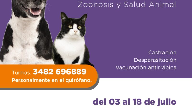 Bienestar animal: Quirófano móvil en el barrio Lanceros