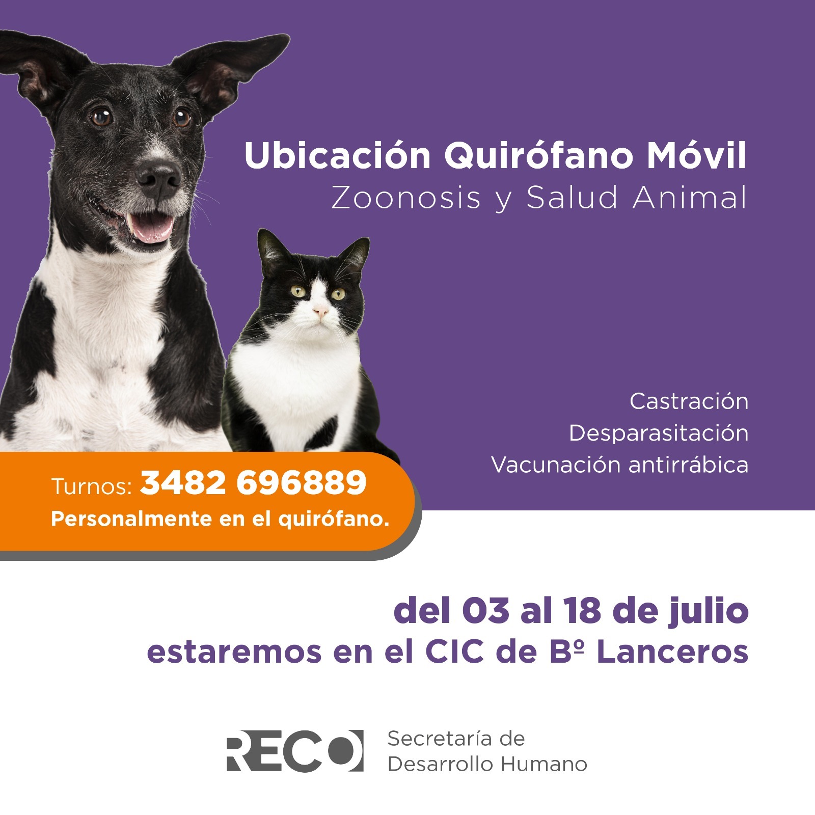 Bienestar animal: Quirófano móvil en el barrio Lanceros