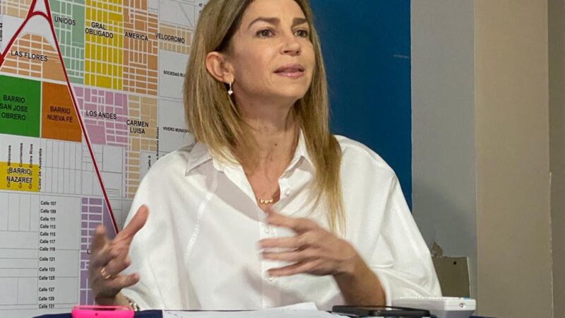 Capparelli presentó su plan integral de seguridad