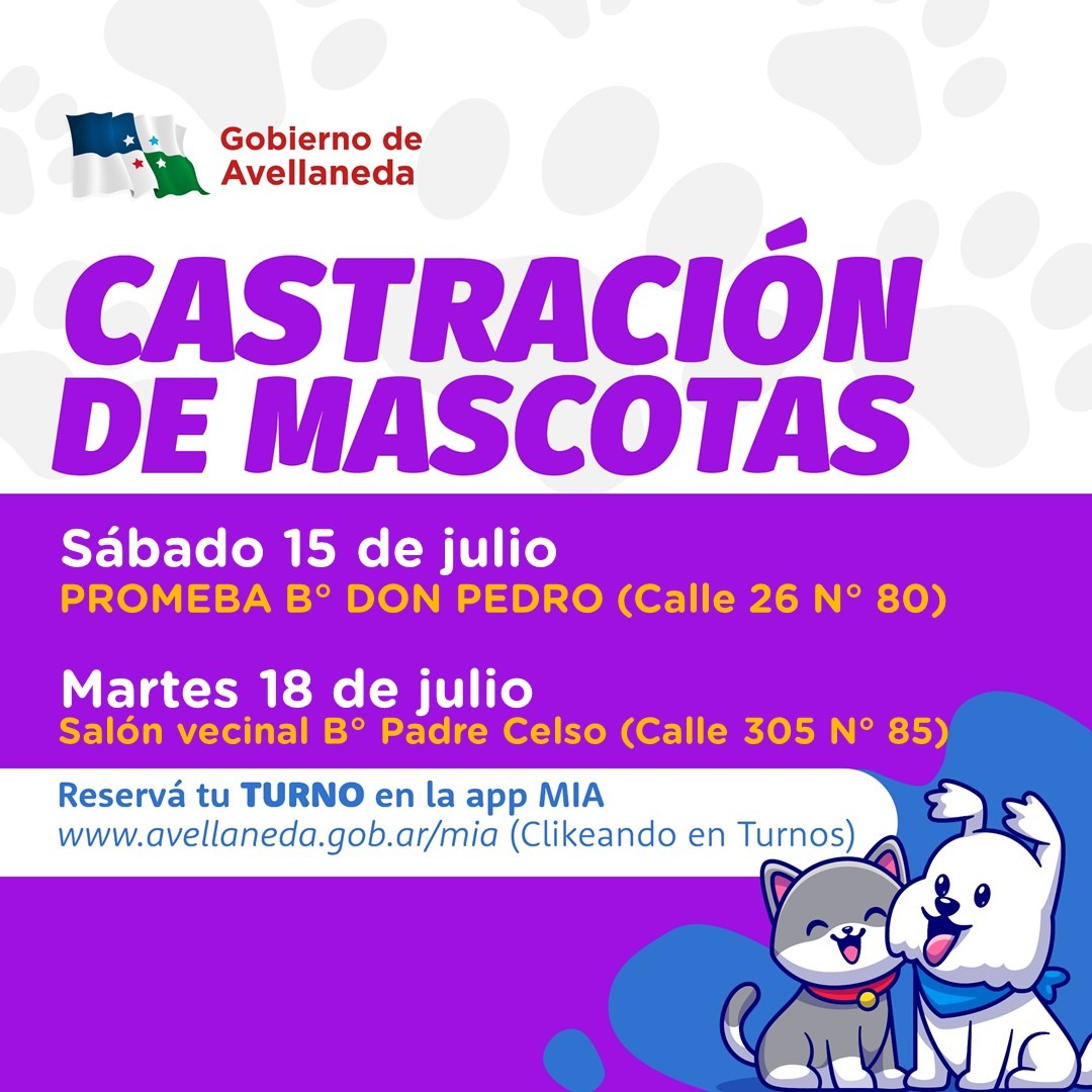Castración de mascotas: Ya están habilitados los turnos