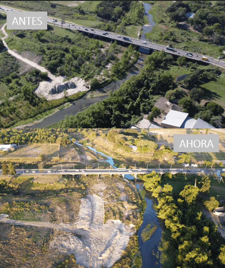 Avellaneda avanza con la limpieza de árboles y arbustos sobre el A° El Rey