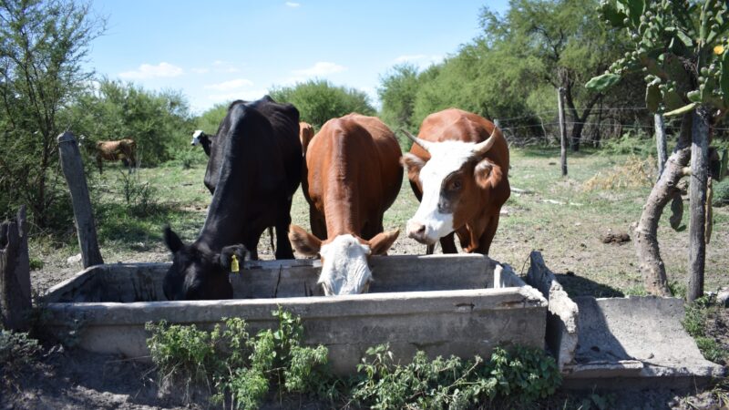 La provincia abre inscripción a nuevos créditos para el campo