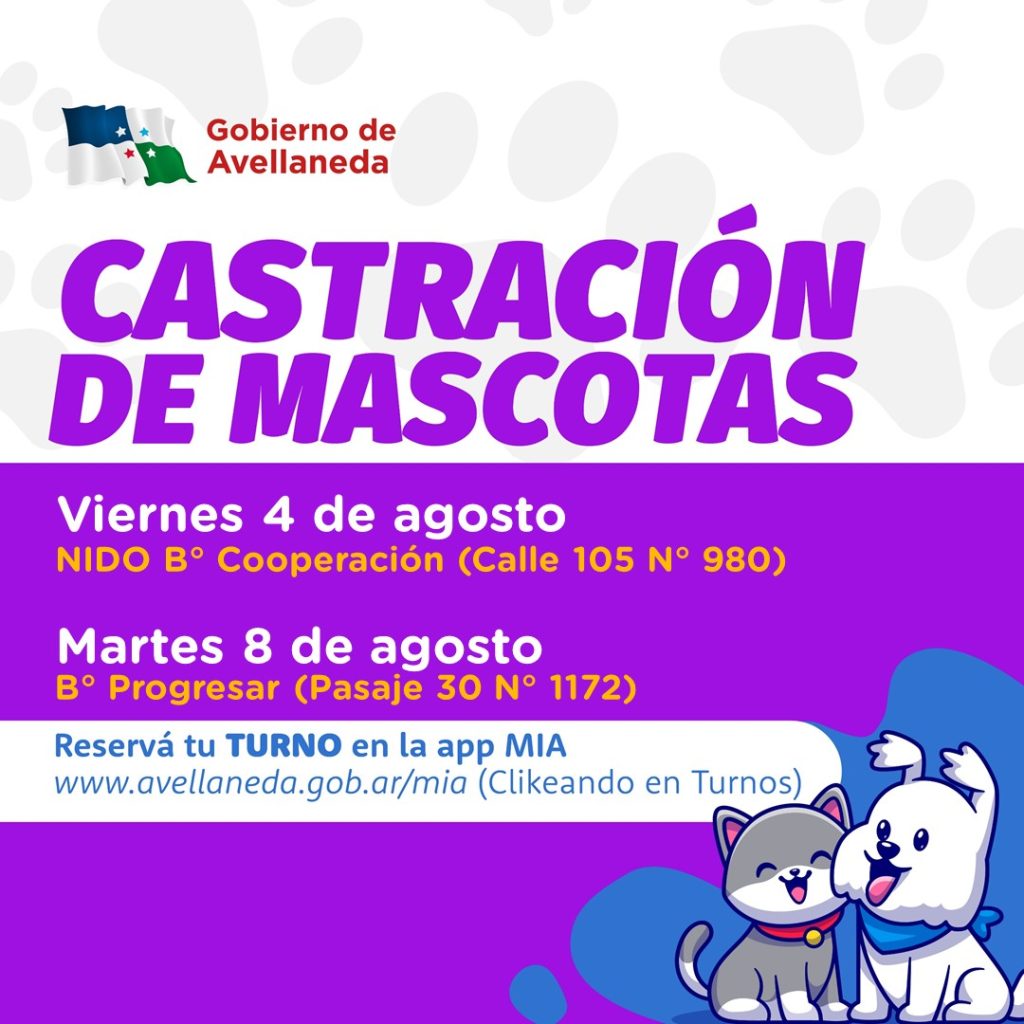 Castración de mascotas en Avellaneda