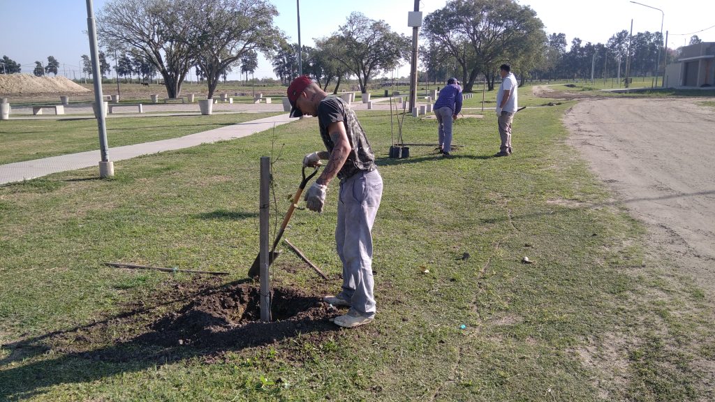 Avanza la plantación de 5000 árboles en Avellaneda