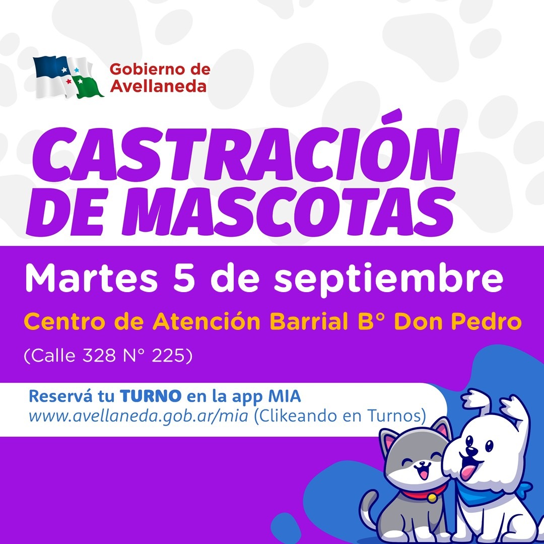 Castración de mascotas B° Don Pedro: No olvides reservar turnos