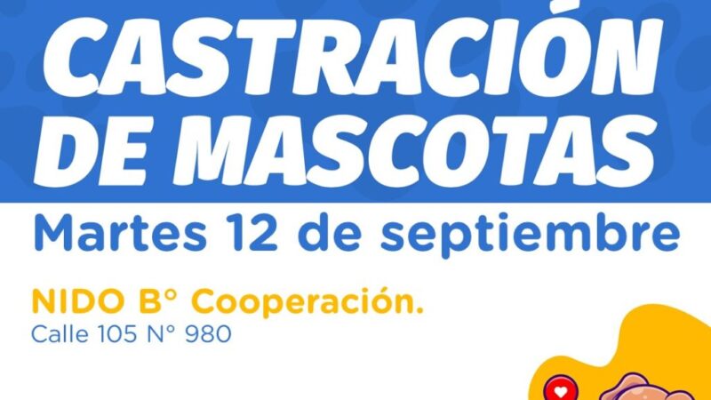 Turnos on line disponibles para la castración gratuita de mascotas
