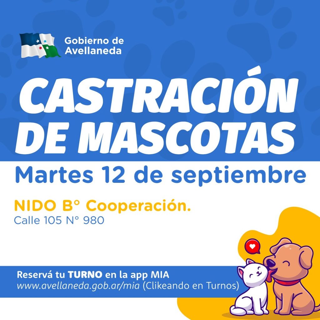 Turnos on line disponibles para la castración gratuita de mascotas