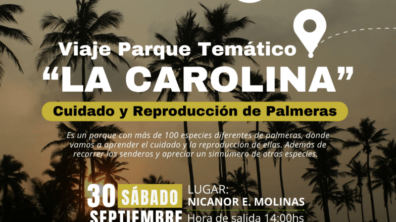 Malabrigo: Viaje al parque de palmeras «LA CAROLINA» 