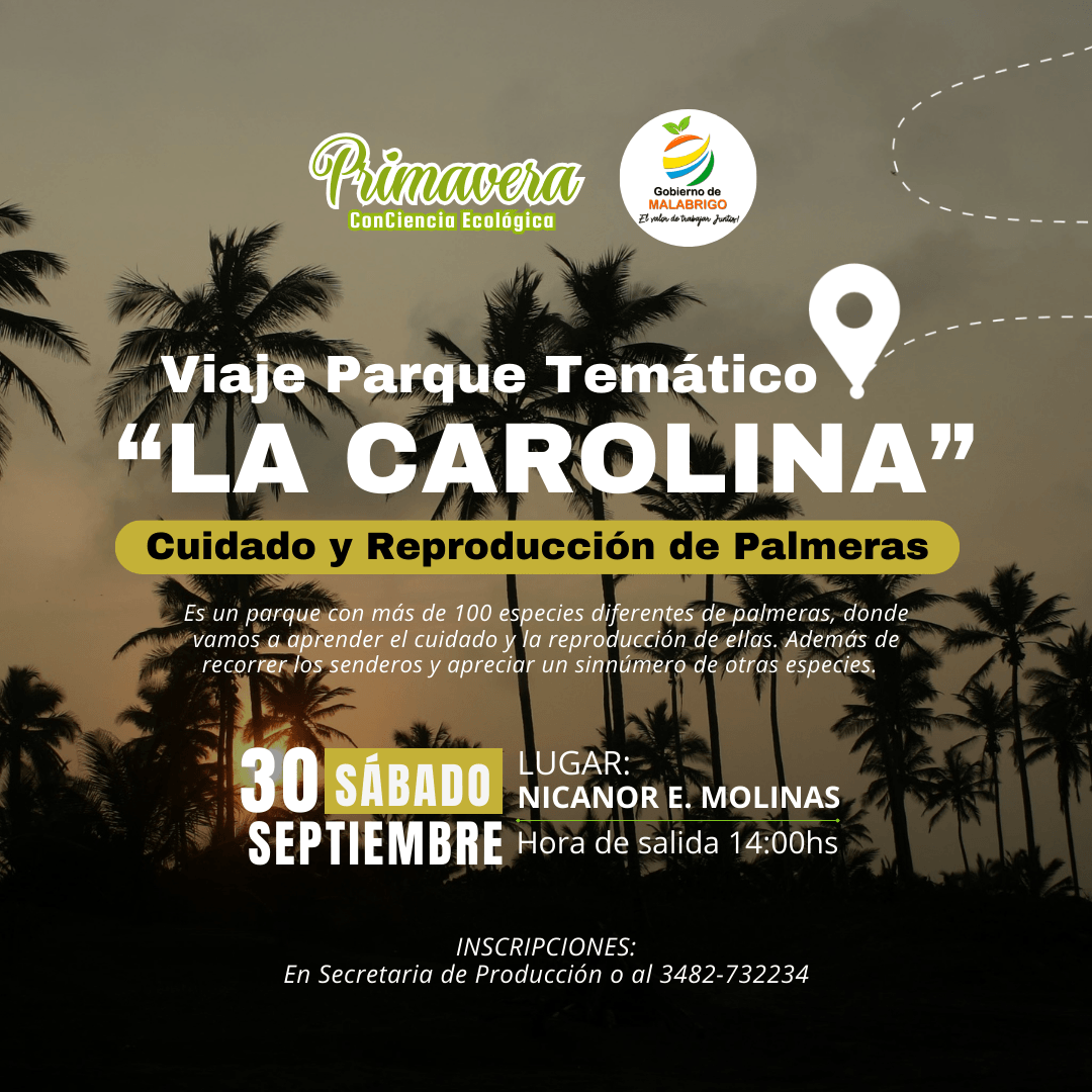 Malabrigo: Viaje al parque de palmeras «LA CAROLINA» 