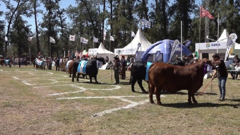 15a. Jornada Ganadera de la Cooperativa de Malabrigo