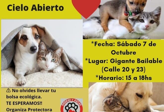 Avellaneda: Feria a cielo abierto de la Protectora garras y patas