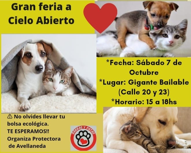 Avellaneda: Feria a cielo abierto de la Protectora garras y patas