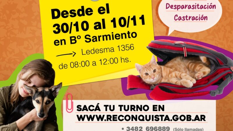 Bienestar animal: Quirófano móvil en barrio Sarmiento