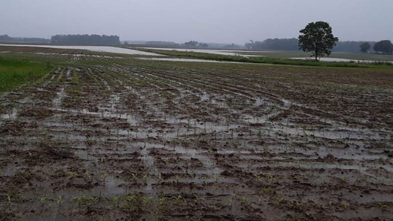 Prevén un trimestre con lluvias para el norte de Santa Fe