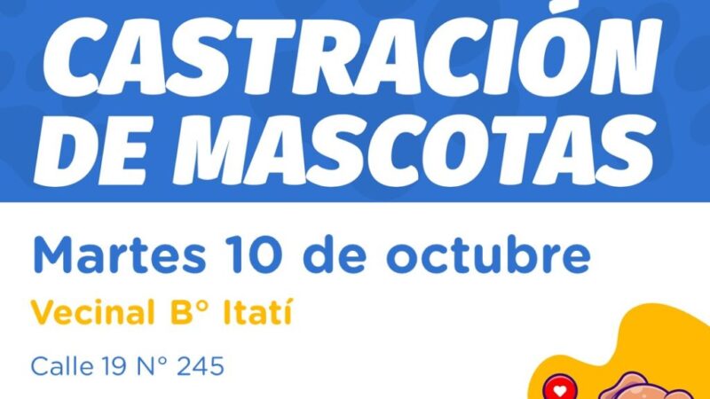 Avellaneda: castración gratuita de mascotas en Barrio Itatí