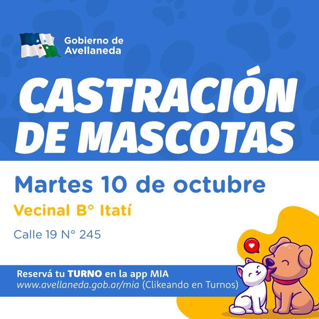 Avellaneda: castración gratuita de mascotas en Barrio Itatí