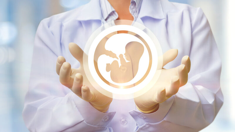 Abren inscripción para el posgrado de Salud Reproductiva y Fertilidad