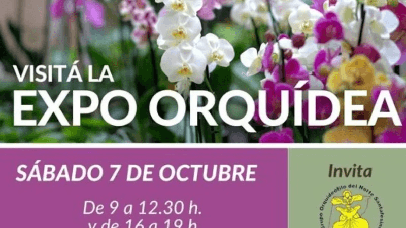 Muestra de Orquídeas en Guadalupe Norte