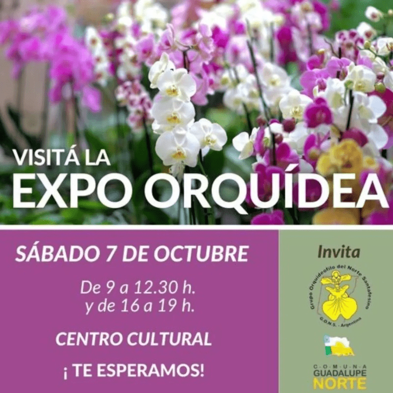 Muestra de Orquídeas en Guadalupe Norte
