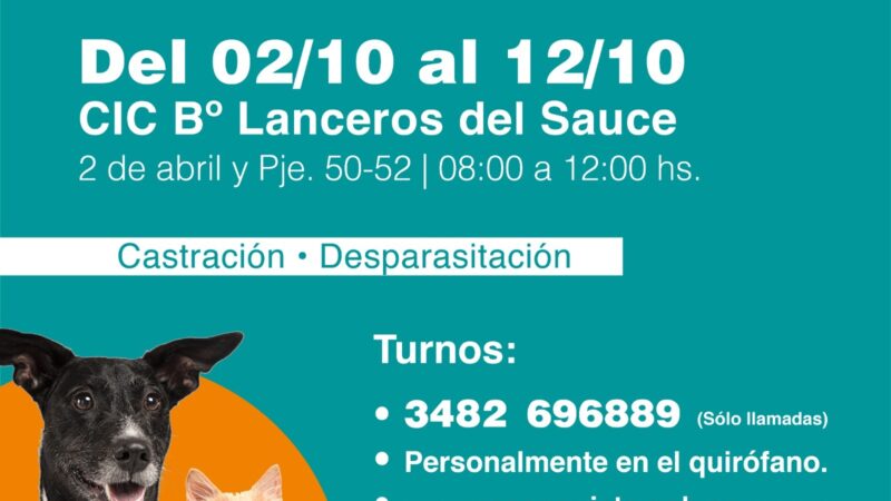 Reconquista: quirófano móvil en barrio Lanceros del Sauce