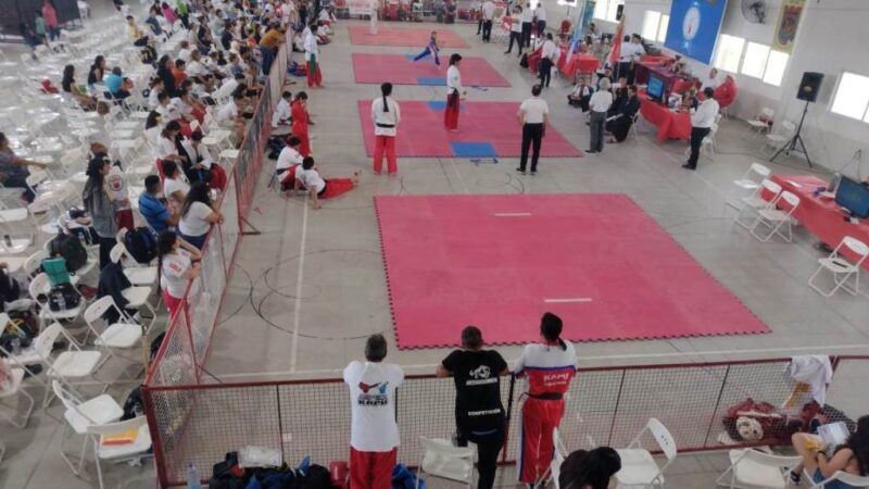 Delegaciones participaron del Torneo de Artes Marciales