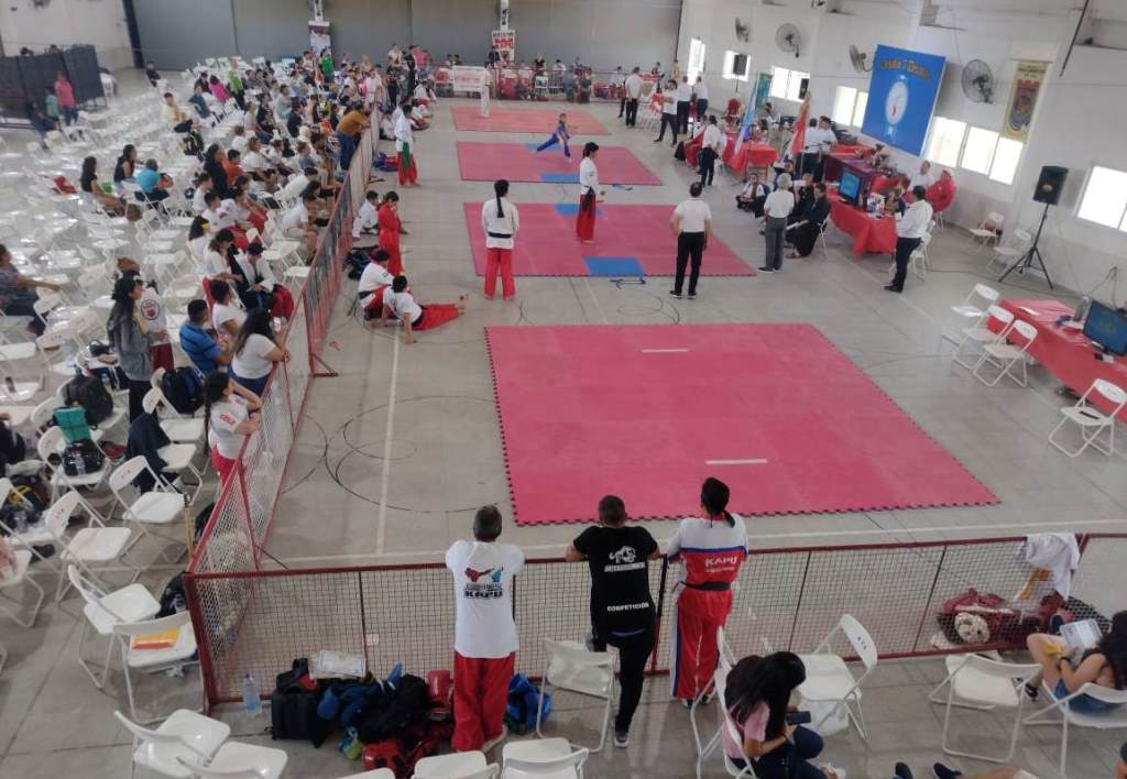 Delegaciones participaron del Torneo de Artes Marciales