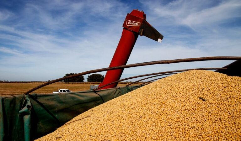 El campo tuvo una de las peores campañas sojeras en 16 años