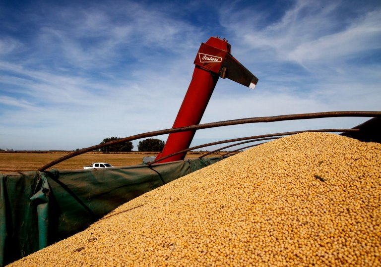 El campo tuvo una de las peores campañas sojeras en 16 años