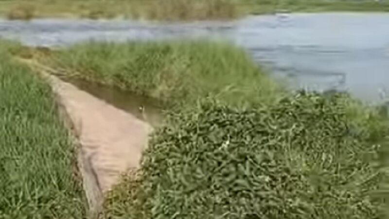 Florencia: cayó el puente «El Chara» por la inundación en la zona