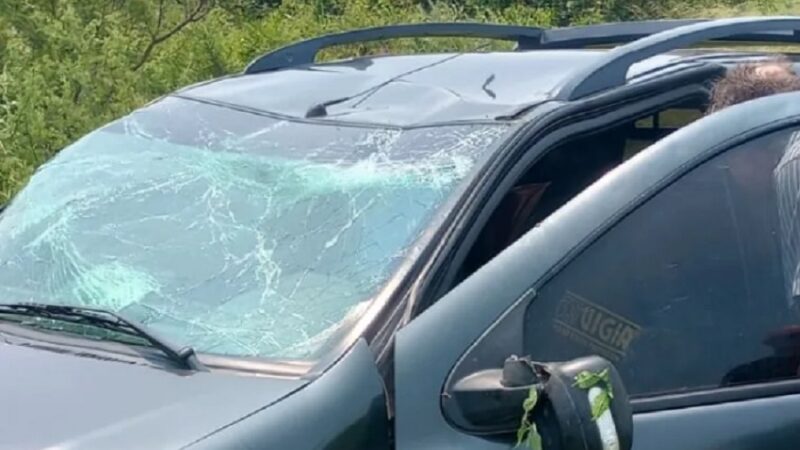 Las Garzas: una madre volcó junto a sus dos hijos en Ruta 60 ¿Qué pasó?