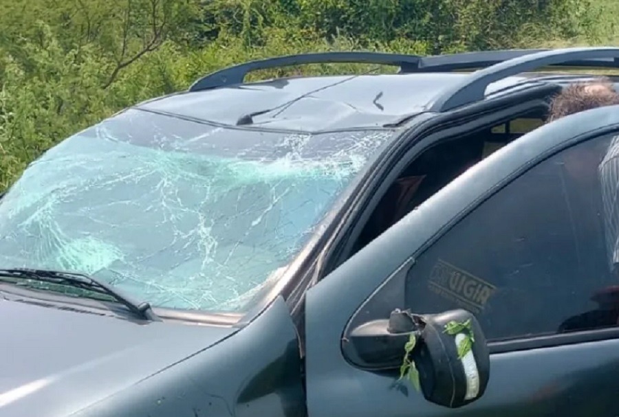 Las Garzas: una madre volcó junto a sus dos hijos en Ruta 60 ¿Qué pasó?