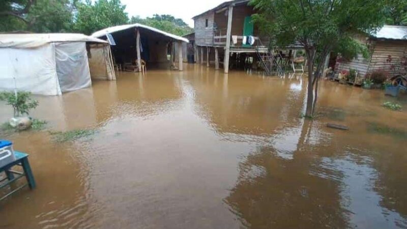 Las Garzas: por la crecida del Paraná se inundó la Isla Guaycurú