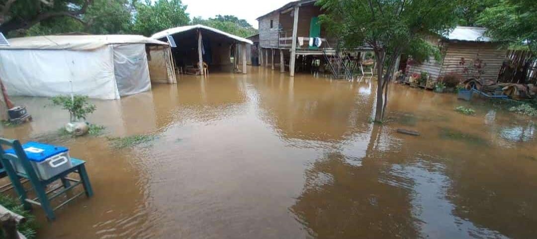 Las Garzas: por la crecida del Paraná se inundó la Isla Guaycurú