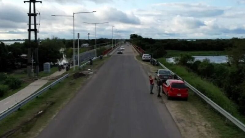 Solicitan circular con precaución por las rutas ante la presencia de fauna silvestre