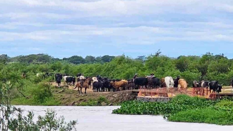 Villa Ocampo: mañana retiran el Puente Flotante del Paraná Miní