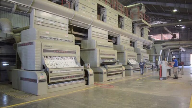 La Nueva Vicentín de Grassi reactivará las plantas desmotadoras de algodón