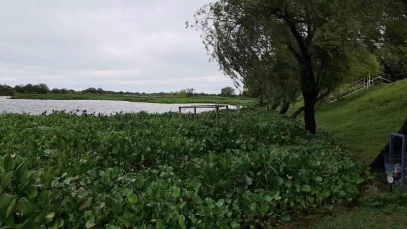 El río San Javier ingresó en la etapa de alerta