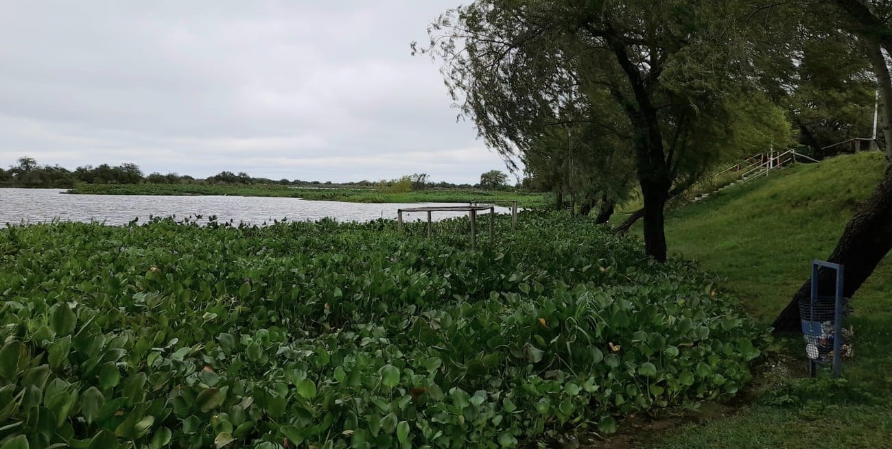 El río San Javier ingresó en la etapa de alerta