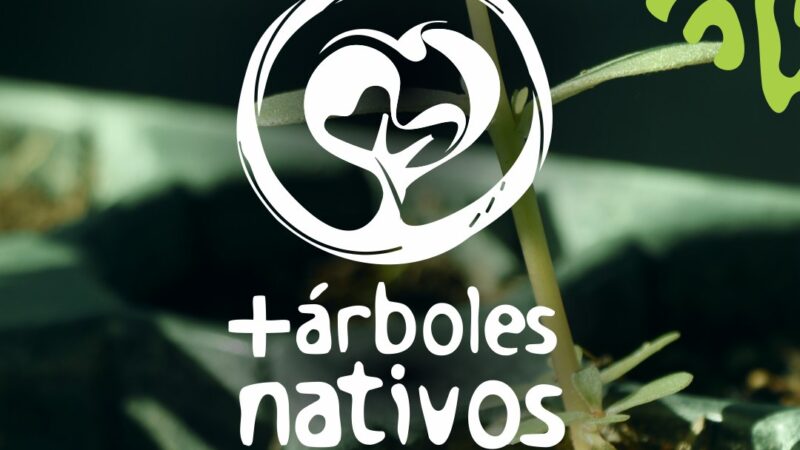 INCUPO realiza la campaña + Árboles Nativos ¿Cómo puedo colaborar?