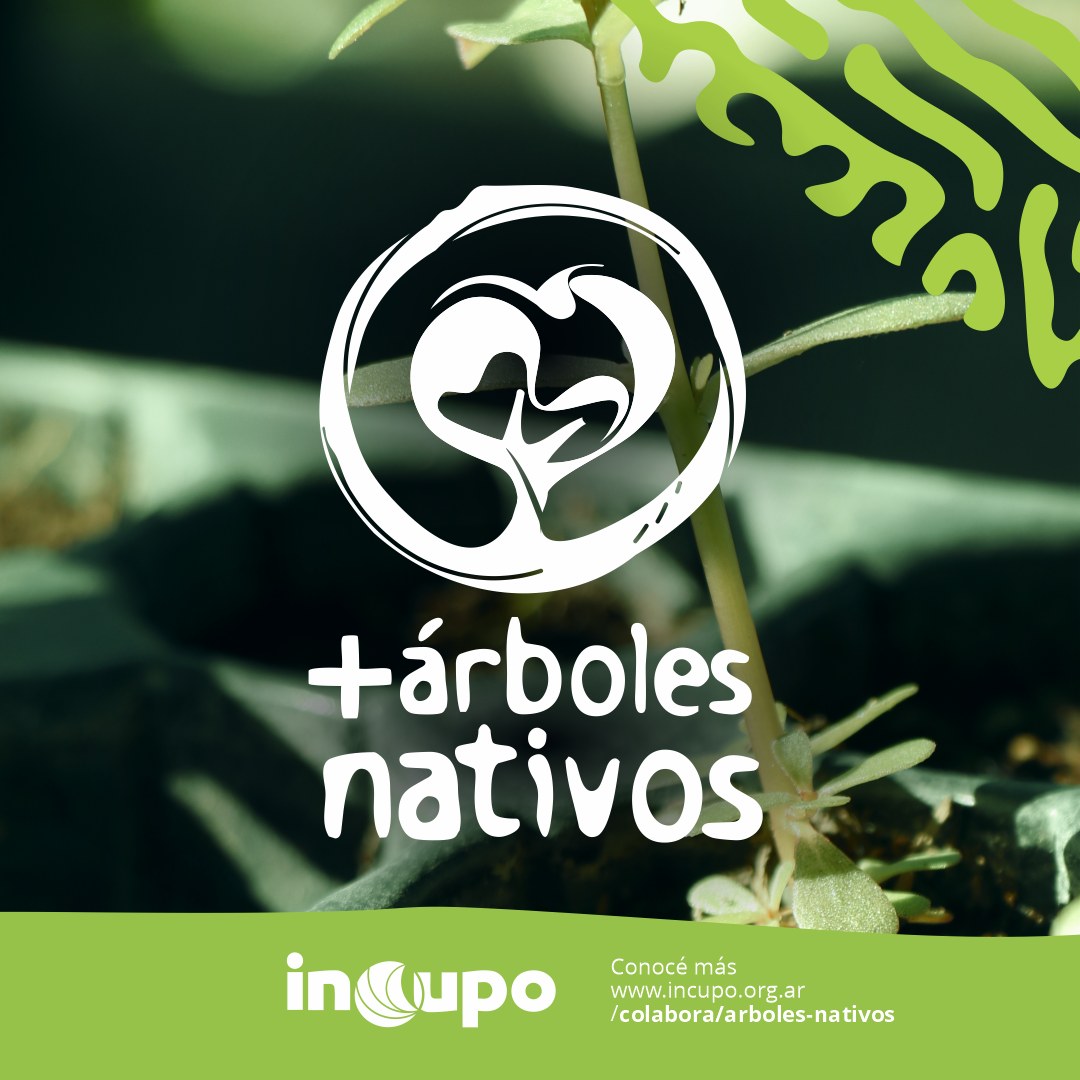 INCUPO realiza la campaña + Árboles Nativos ¿Cómo puedo colaborar?