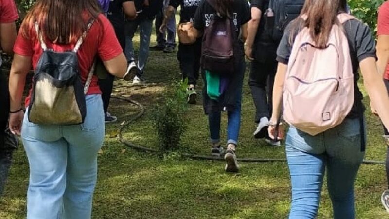 Estudiantes de Escuela de Comercio plantaron 22 árboles en su patio